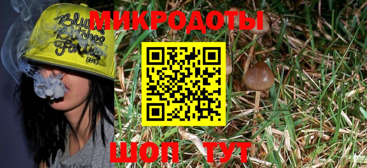 Псилоцибиновые грибы GOLDEN TEACHER Городец