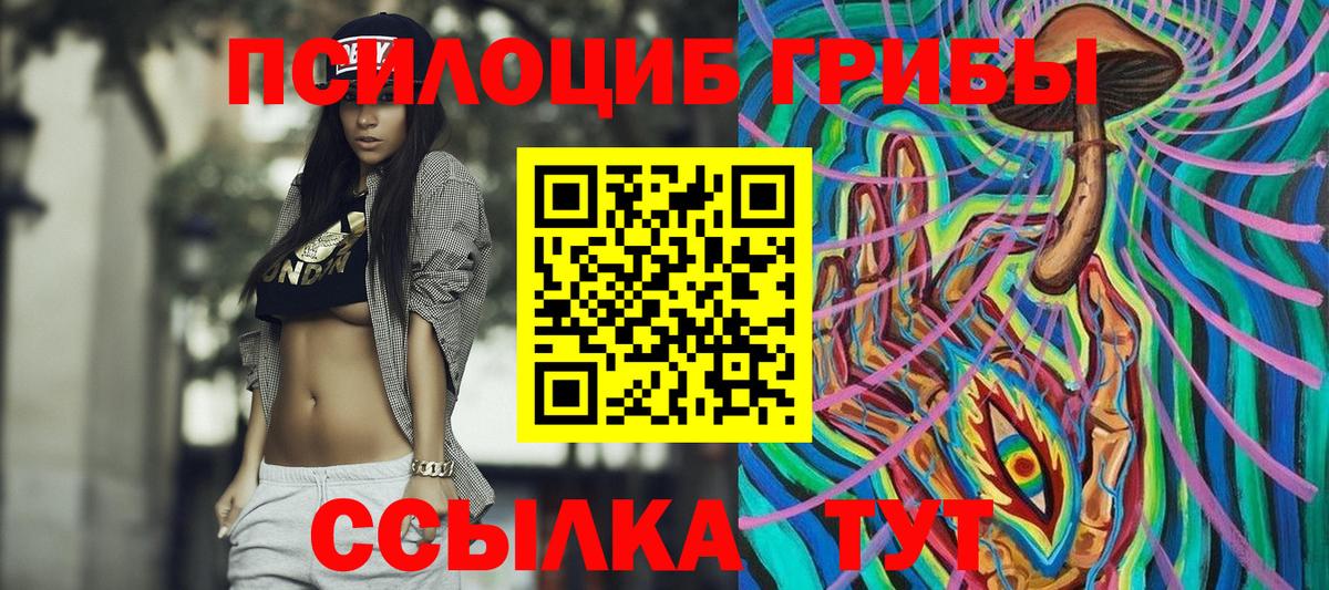 Городец  купить наркотики цена  Вход с VPN  Галлюциногенные грибы прущие грибы 